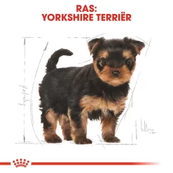 Royal Canin Yorkshire Terrier Puppy - Hondenvoer -HondenTopDeals royal canin yorkshire terrier puppy hondenvoer 140810 1000 none