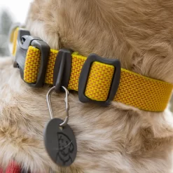 Ruffwear Hi & Light Collar 31 Ruffwear Hi & Light Collar -HondenTopDeals ruffwear hi light collar 194258 1000 none