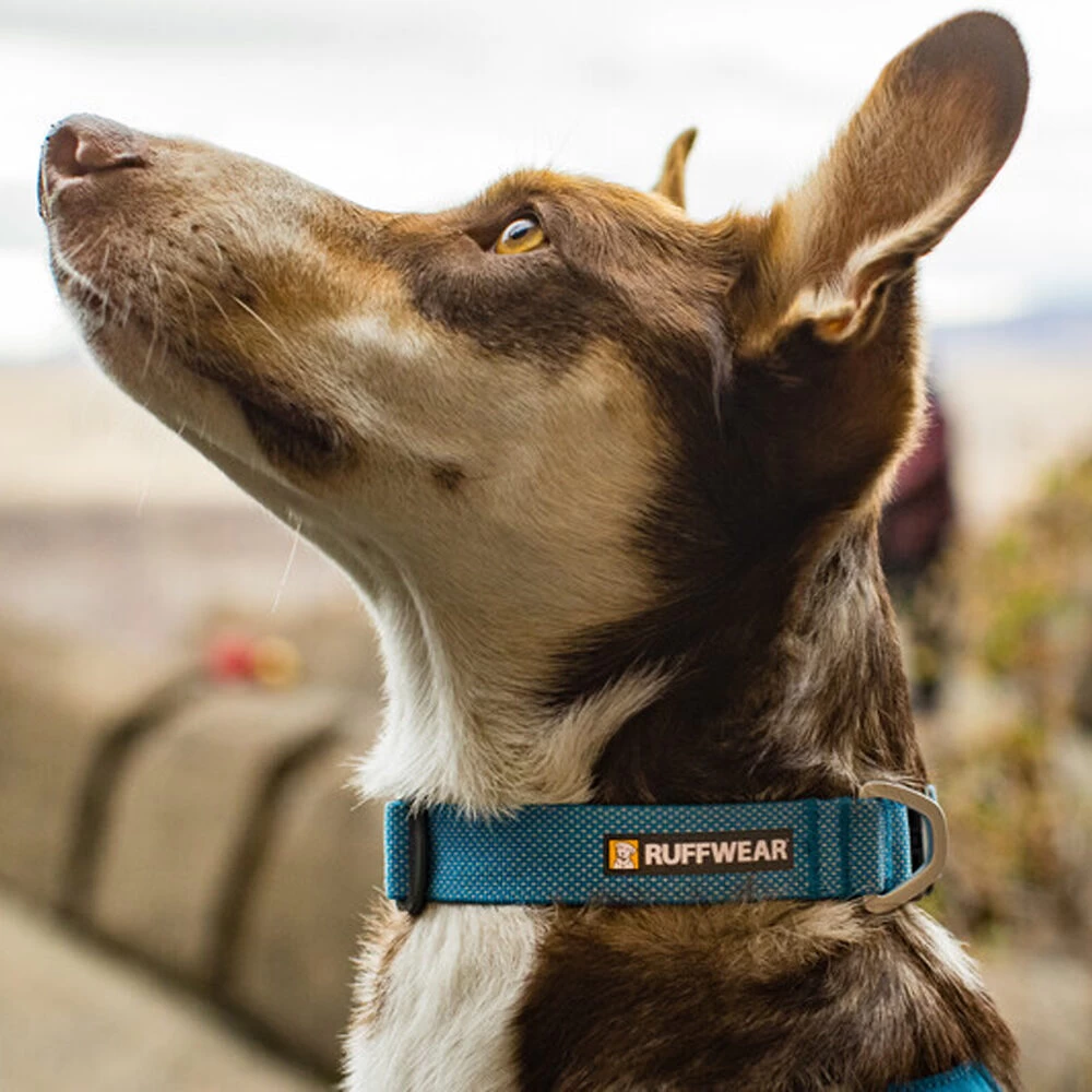 Ruffwear Hi & Light Collar 16 Ruffwear Hi & Light Collar - Afbeelding 16