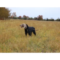 RukkaPets Protect Overall Zwart 27 RukkaPets Protect Overall Zwart -HondenTopDeals rukkapets protect overall zwart 216401 2000 none