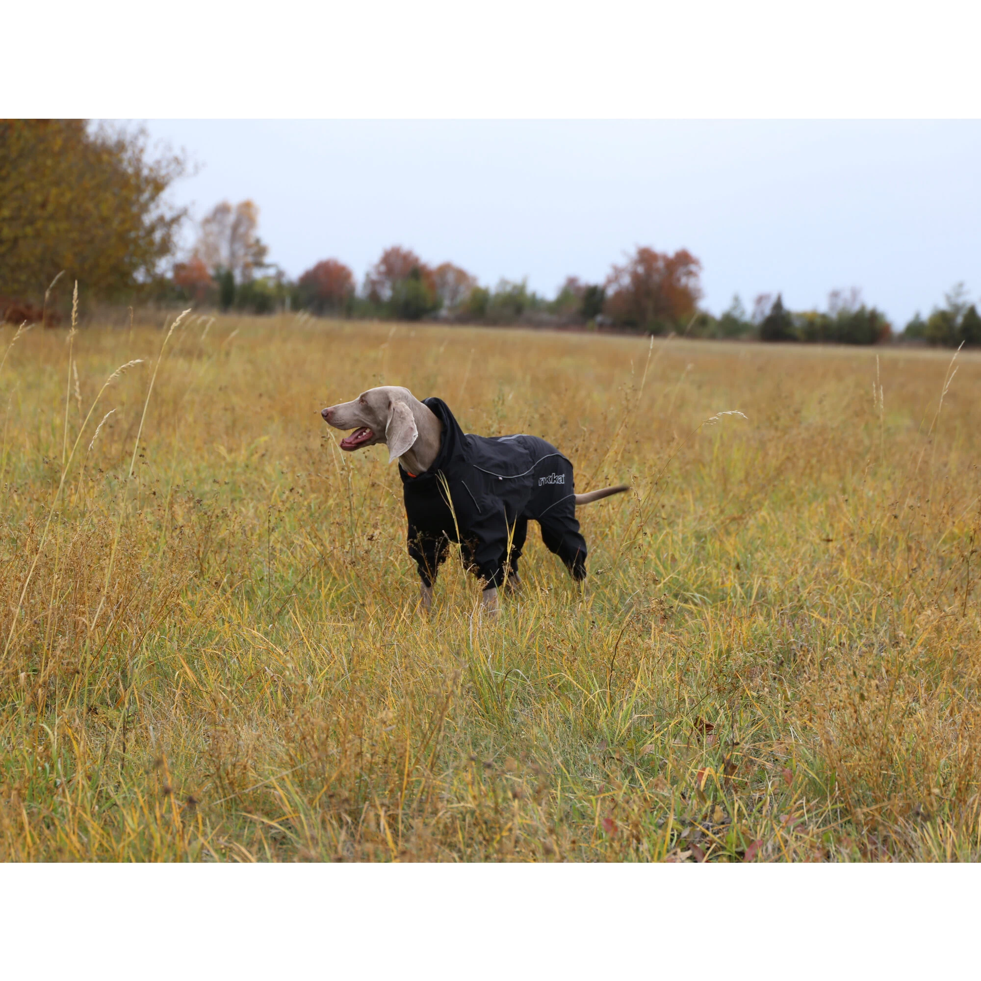 RukkaPets Protect Overall Zwart 14 RukkaPets Protect Overall Zwart - Afbeelding 14