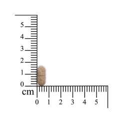 Sensipharm Smooth Locomotion - Hond -HondenTopDeals sensipharm smooth locomotion hond 174793 1000 none