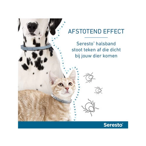 Seresto Hond 8 Seresto Hond - Afbeelding 8