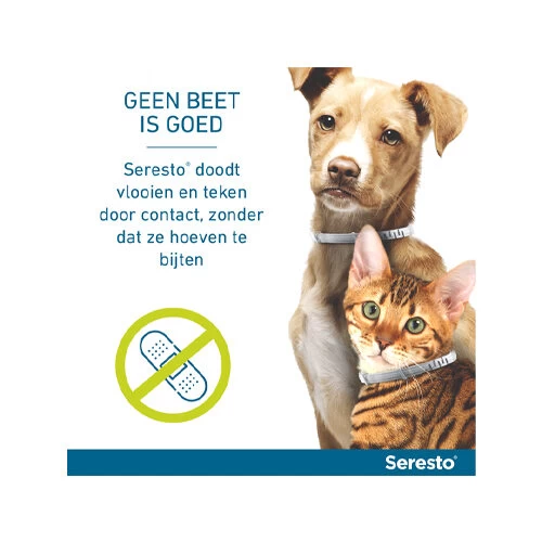 Seresto Hond 9 Seresto Hond - Afbeelding 9