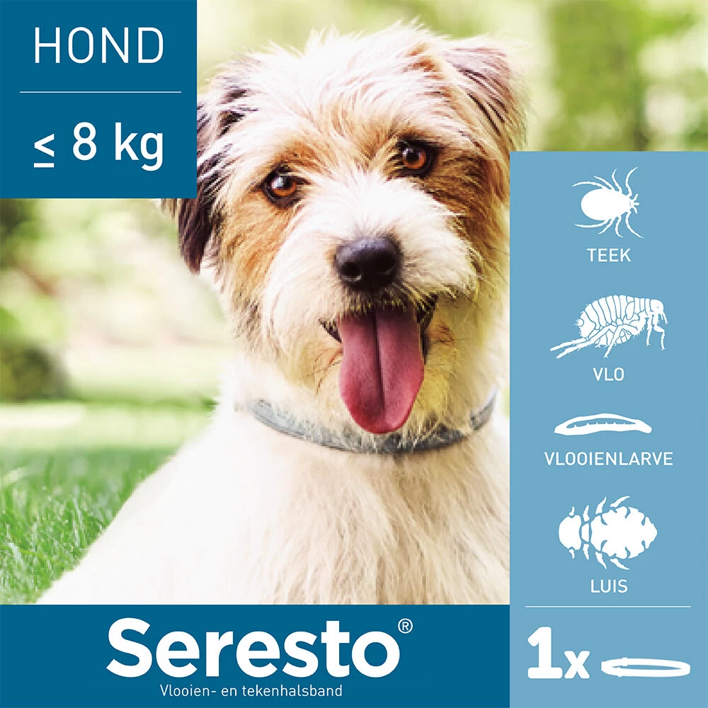 Seresto Hond 11 Seresto Hond - Afbeelding 11