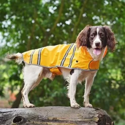 Sötnos Hondenregenjas -HondenTopDeals stnos hondenregenjas 130475 0500 none