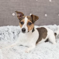 Trixie Bekleding-Beschermdeken Harvey -HondenTopDeals trixie bekleding beschermdeken harvey 206315 2000 none