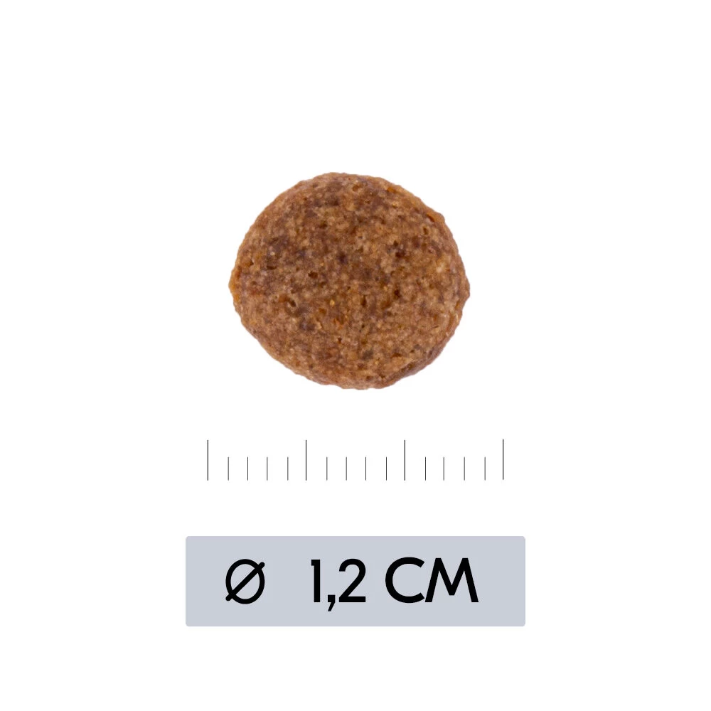 Vetality Hypoallergenic - Hondenvoer 8 Vetality Hypoallergenic - Hondenvoer - Afbeelding 8