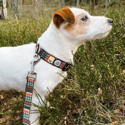 Woolly Wolf Woodland Hondenriem 7 Woolly Wolf Woodland Hondenriem -HondenTopDeals woolly wolf woodland hondenriem 204539 1000 none