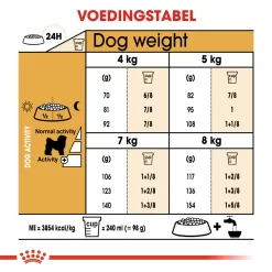 Royal Canin Bichon Frisé Adult - Hondenvoer -HondenTopDeals y9wadCLDMC2ECW10t9acBryKztyPAU metaUm95YWwtQ2FuaW4tQmljaG9uLUZyaXPDqS1BZHVsdF8wNC5qcGc