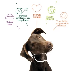 Yarrah - Droogvoer Hond Graanvrij Bio -HondenTopDeals yarrah droogvoer hond graanvrij bio 201170 1000 none