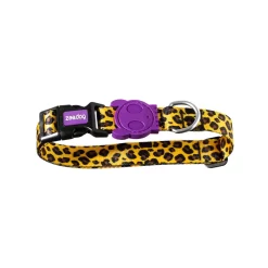 Zee.Dog Dog Collar -HondenTopDeals zeedog dog collar 200618 1000 none