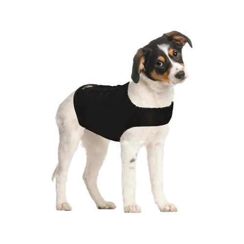 ZenDog Compression Shirt 9 ZenDog Compression Shirt - Afbeelding 9