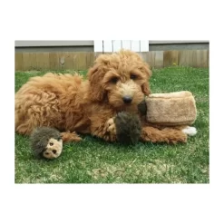 ZippyPaws Zippy Burrow Hedgehog Den -HondenTopDeals zippypaws zippy burrow hedgehog den 221069 0500 none